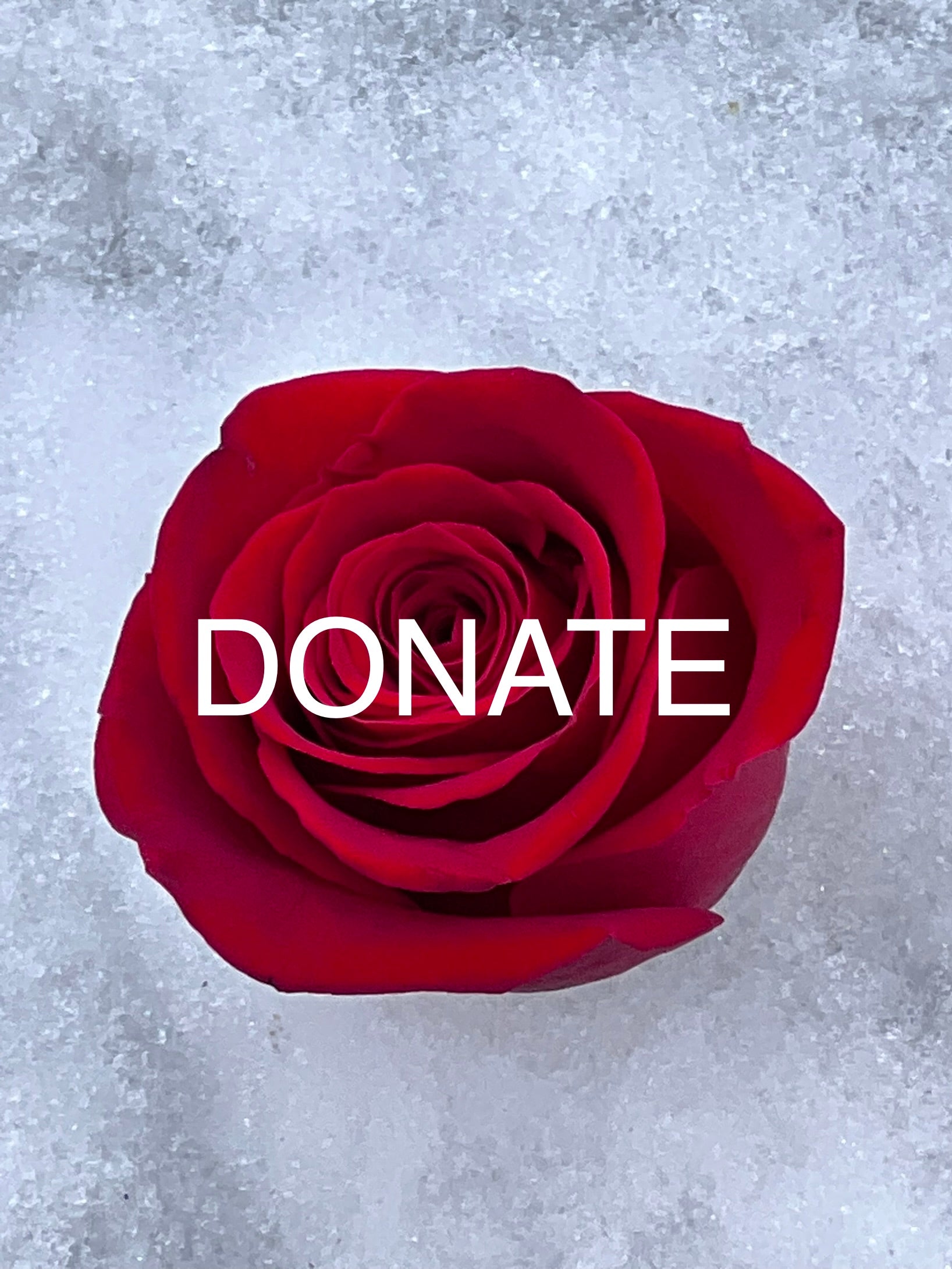 ORCRF Donation Options