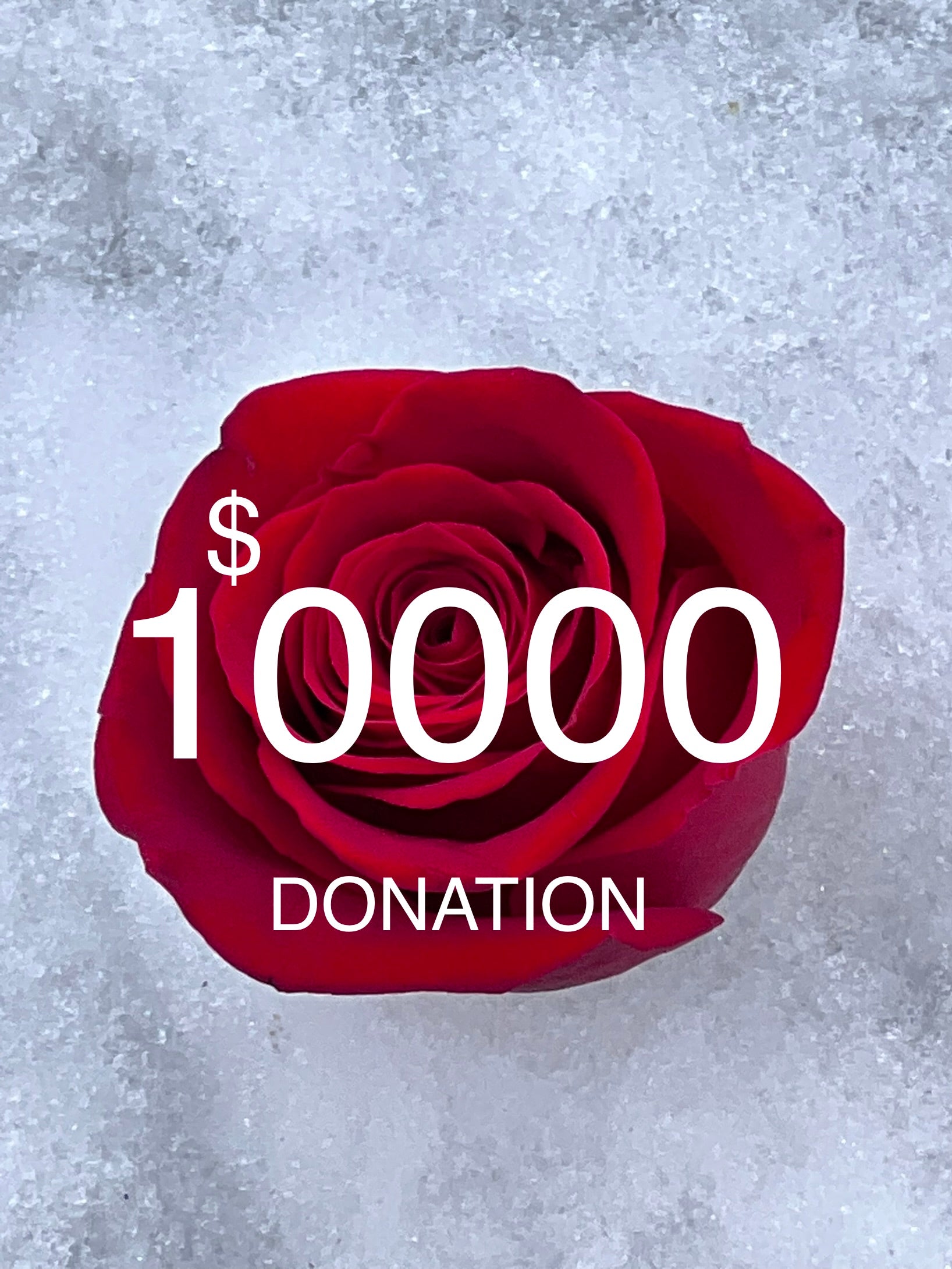 $10000 Donation to ORCRF.org