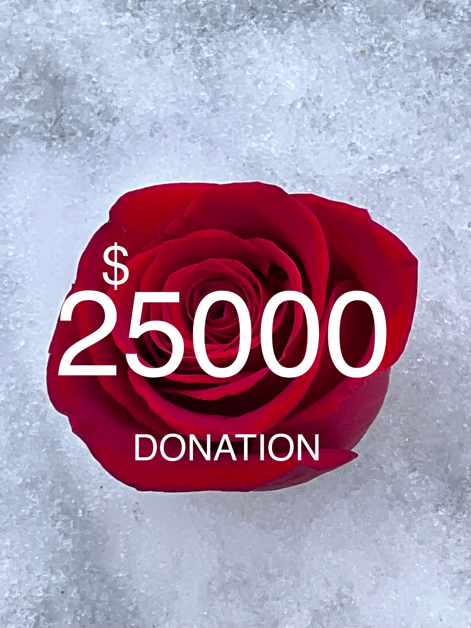 $25000 Donation to ORCRF.org