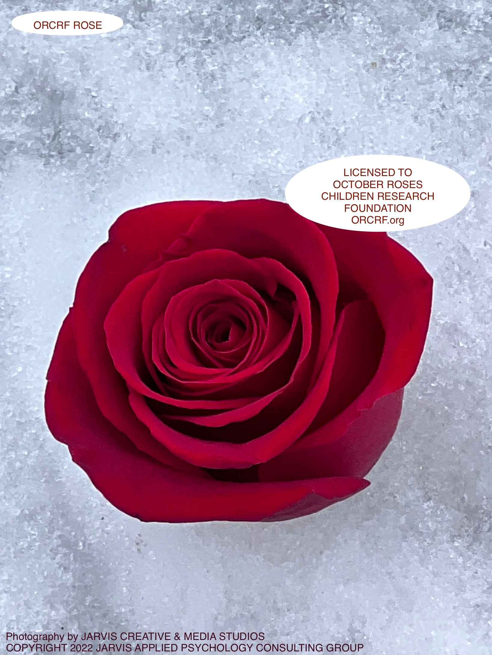 ORCRF ROSE - NFT Digital Art Image 6047 - Image Award Winning Photography by JARVIS Creative & Media Studios