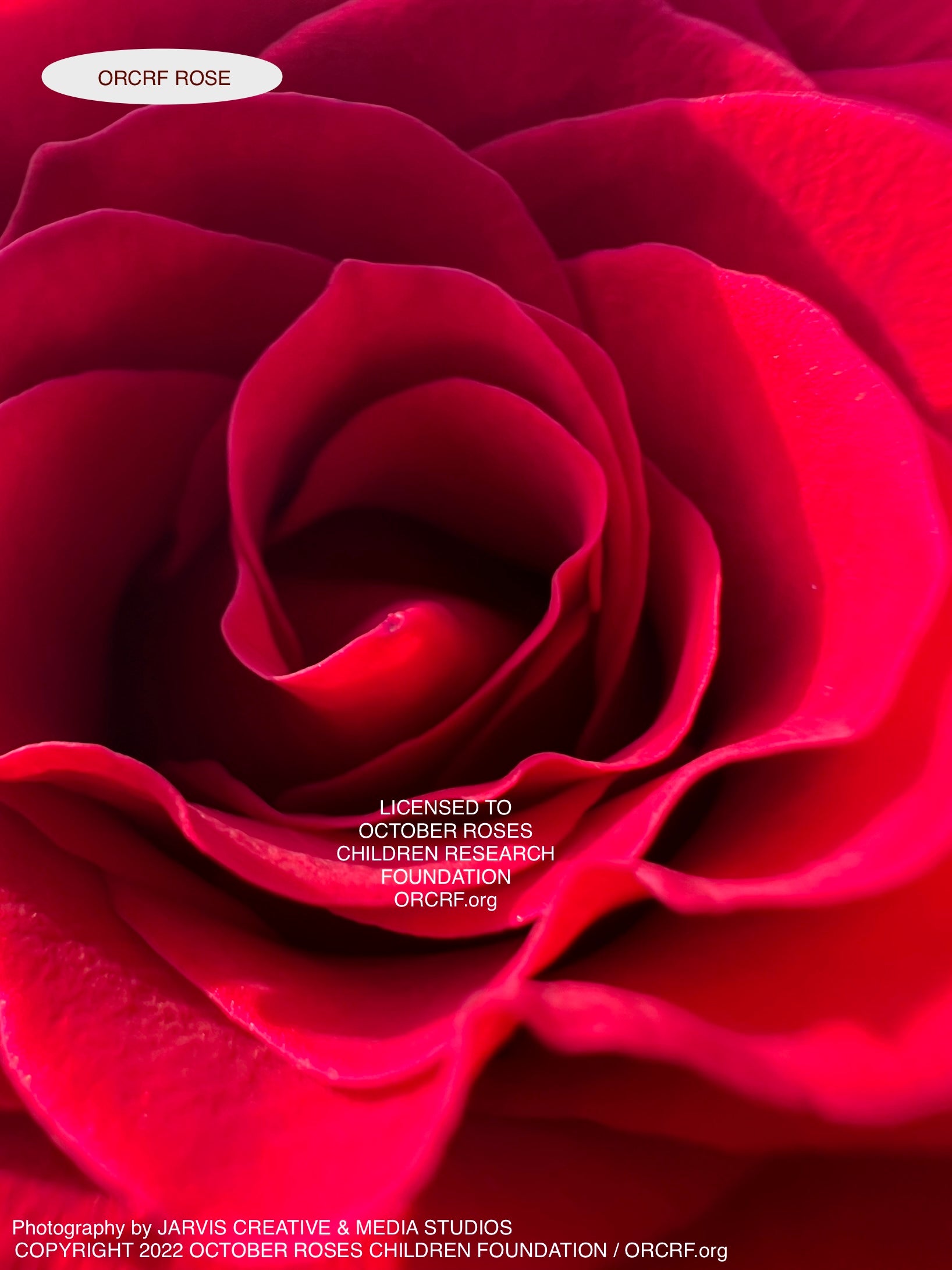 ORCRF ROSE - NFT Digital Art Image 7047 - Image Award Winning Photography by JARVIS Creative & Media Studios