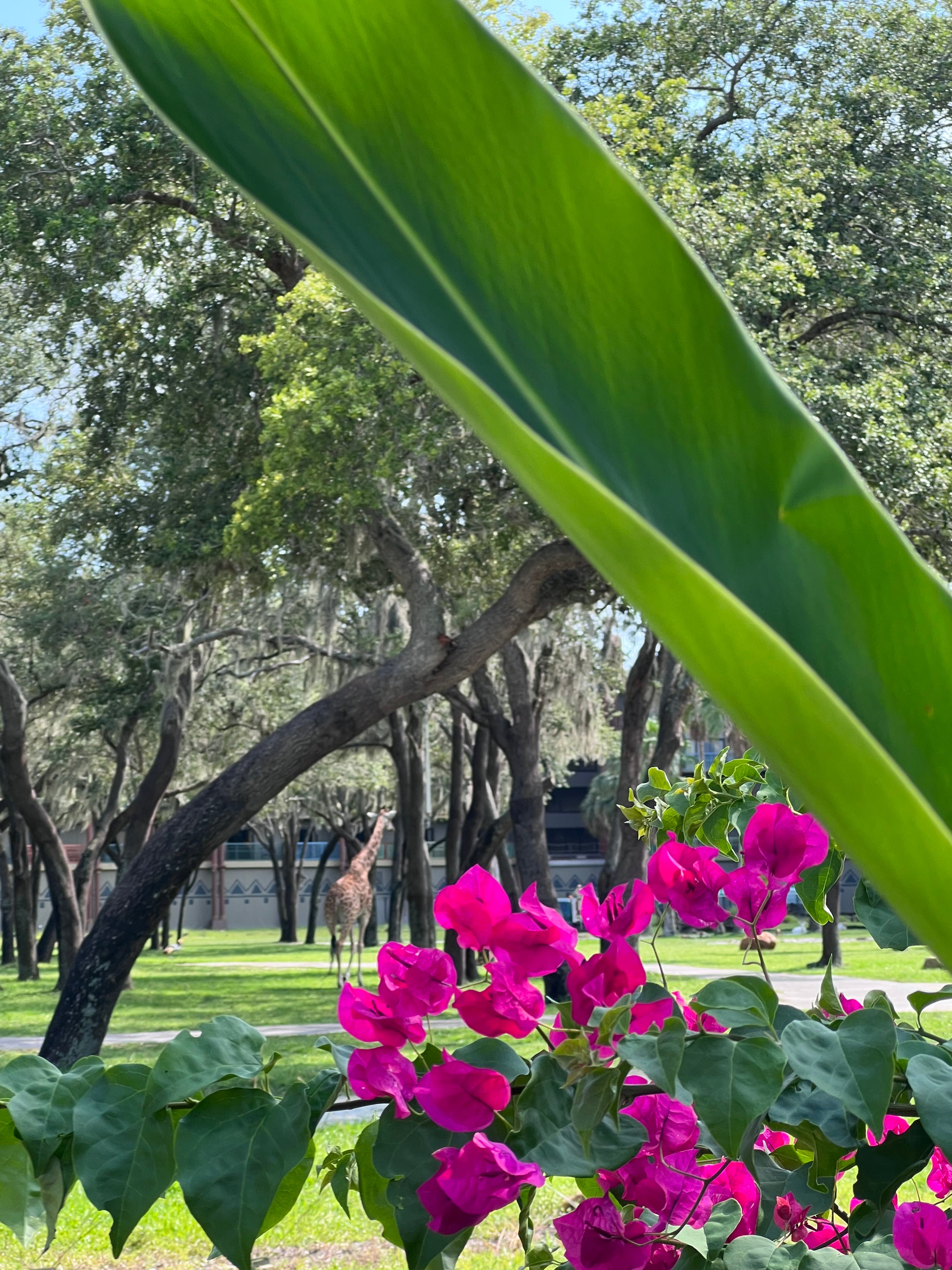 NFT Digital Art Image 5318 - Award Winning Photography by JARVIS Creative & Media Studios