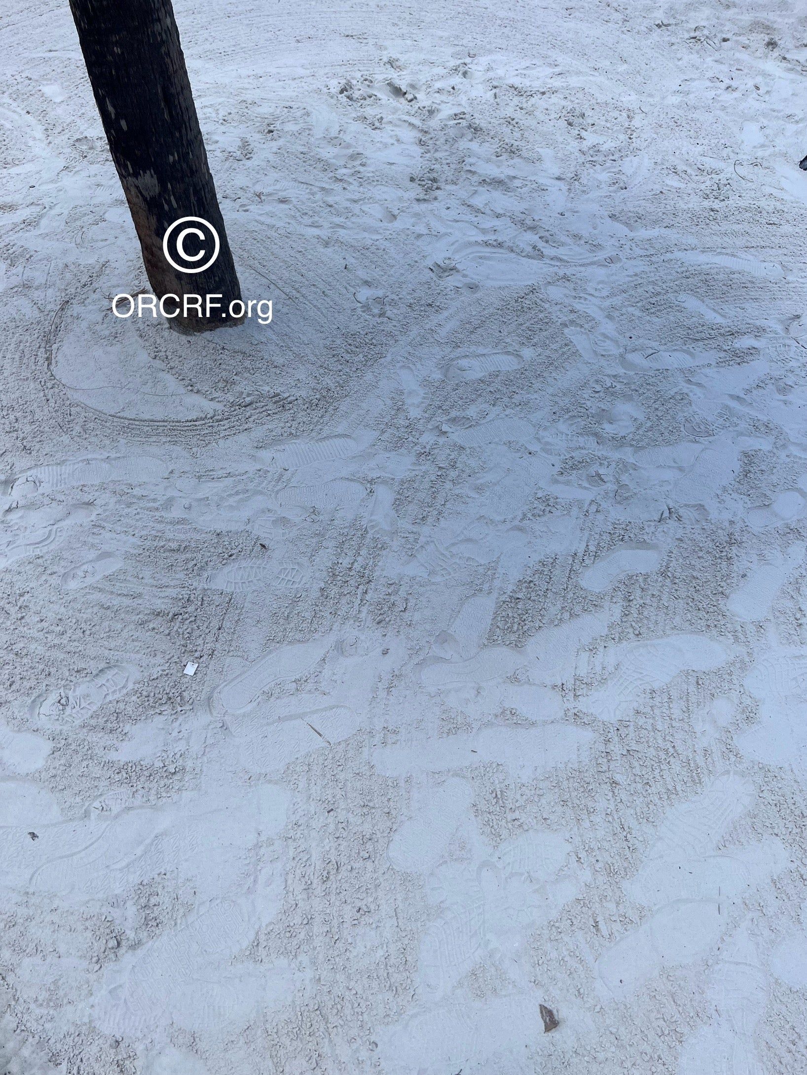 NFT Digital Art Image 3349 - Award Winning Photography by JARVIS Creative & Media Studios