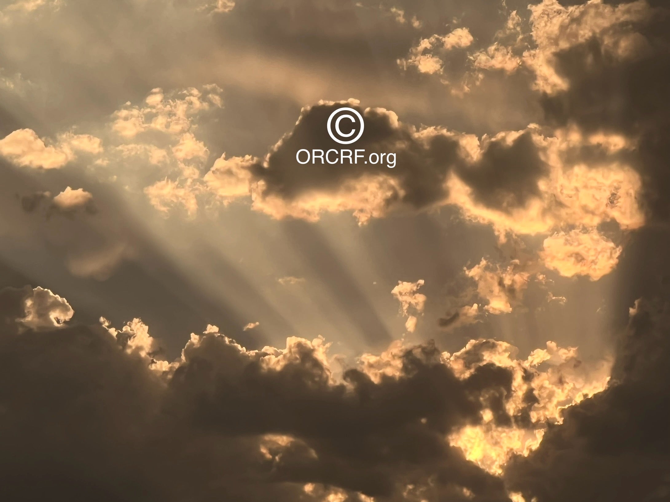 SYMPH0NY OF LIGHTS - NFT Digital Art Image 7976 - Award Winning Photography by JARVIS Creative & Media Studios