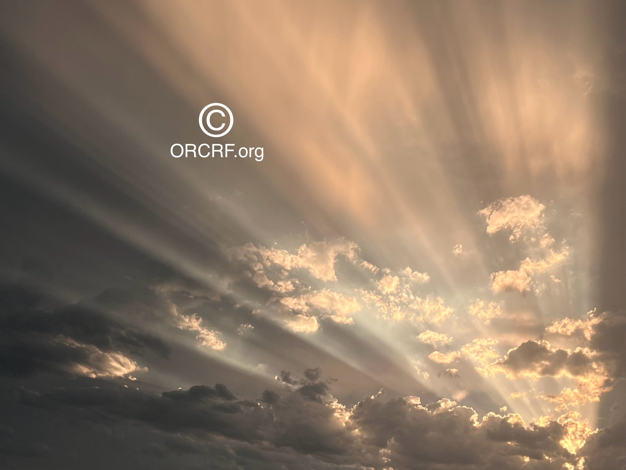 SYMPH0NY OF LIGHTS - NFT Digital Art Image 8049 - Award Winning Photography by JARVIS Creative & Media Studios